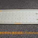 四孔圓點帶鐵標蓋板模具